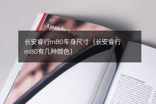 长安睿行m80车身尺寸（长安睿行m80有几种颜色）