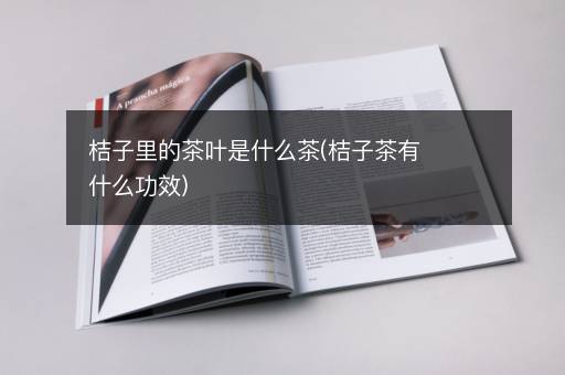 桔子里的茶叶是什么茶(桔子茶有什么功效)