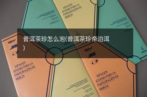 普洱茶珍怎么泡(普洱茶珍帝泊洱)
