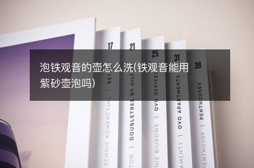泡铁观音的壶怎么洗(铁观音能用紫砂壶泡吗)