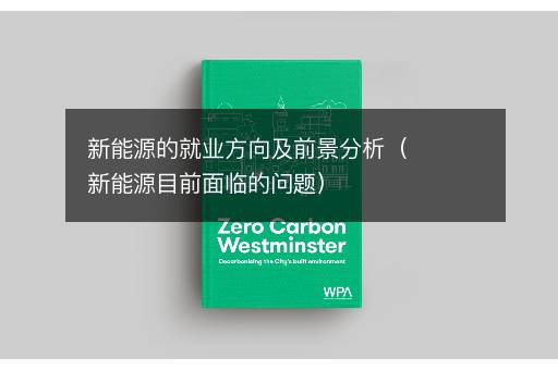 新能源的就业方向及前景分析（新能源目前面临的问题）