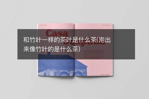 和竹叶一样的茶叶是什么茶(泡出来像竹叶的是什么茶)