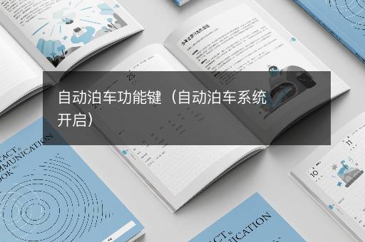 自动泊车功能键（自动泊车系统开启）