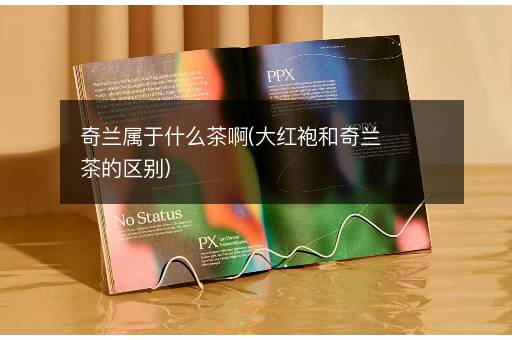 奇兰属于什么茶啊(大红袍和奇兰茶的区别)