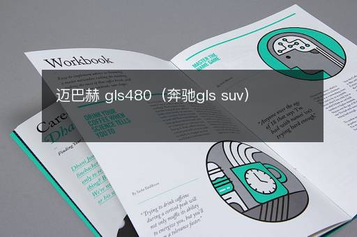 迈巴赫 gls480（奔驰gls suv）