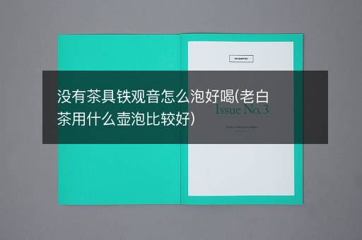 没有茶具铁观音怎么泡好喝(老白茶用什么壶泡比较好)