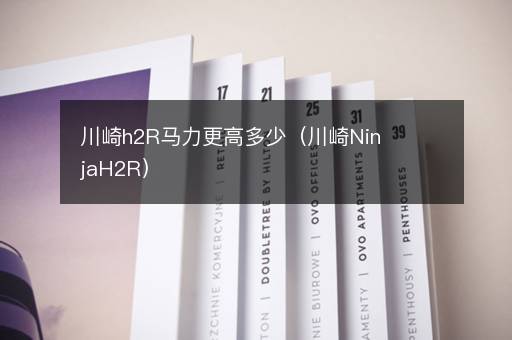 川崎h2R马力更高多少（川崎NinjaH2R）
