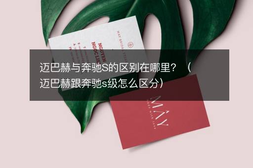 迈巴赫与奔驰S的区别在哪里？（迈巴赫跟奔驰s级怎么区分）