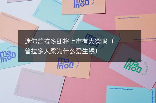 迷你普拉多即将上市有大梁吗（普拉多大梁为什么爱生锈）