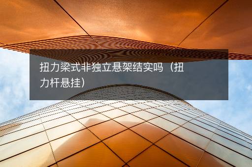 扭力梁式非独立悬架结实吗（扭力杆悬挂）