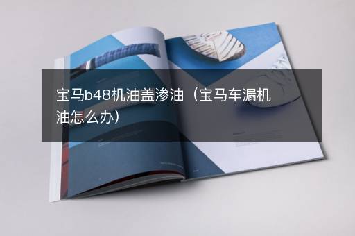 宝马b48机油盖渗油（宝马车漏机油怎么办）
