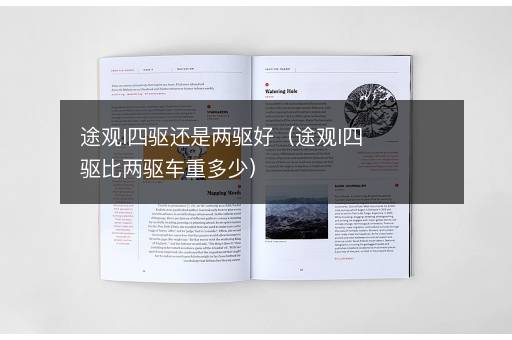 途观l四驱还是两驱好（途观l四驱比两驱车重多少）