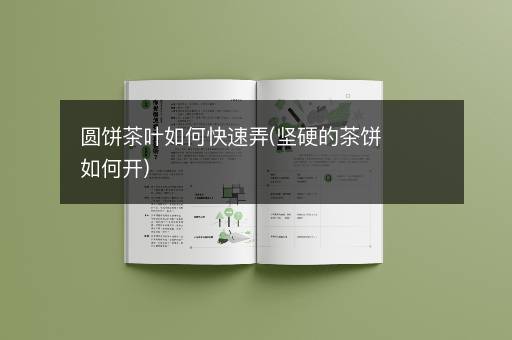 圆饼茶叶如何快速弄(坚硬的茶饼如何开)