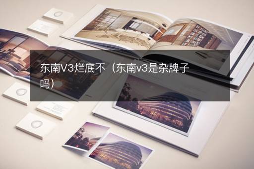东南V3烂底不（东南v3是杂牌子吗）