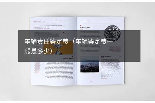 车辆责任鉴定费（车辆鉴定费一般是多少）