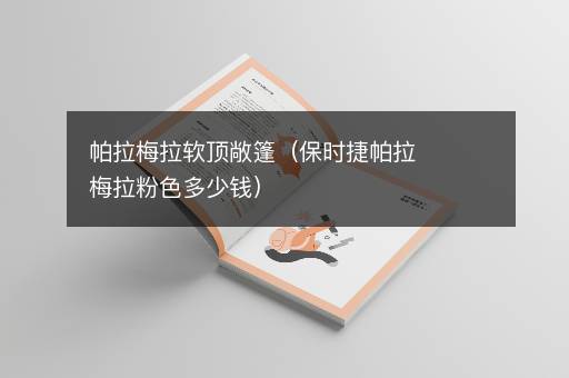 帕拉梅拉软顶敞篷（保时捷帕拉梅拉粉色多少钱）