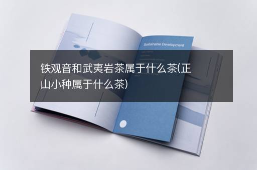铁观音和武夷岩茶属于什么茶(正山小种属于什么茶)