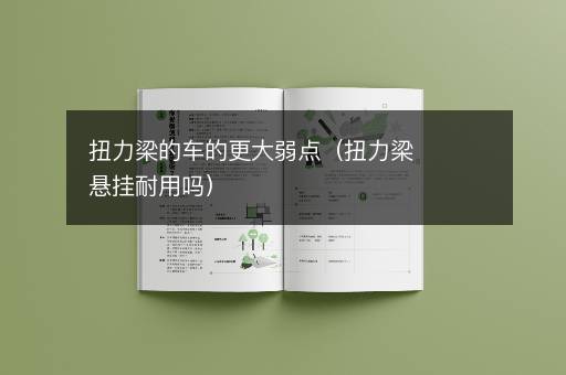 扭力梁的车的更大弱点（扭力梁悬挂耐用吗）
