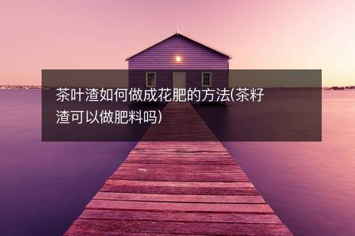 茶叶渣如何做成花肥的方法(茶籽渣可以做肥料吗)
