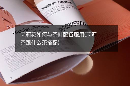 茉莉花如何与茶叶配伍服用(茉莉茶跟什么茶搭配)