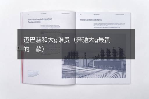 迈巴赫和大g谁贵（奔驰大g最贵的一款）