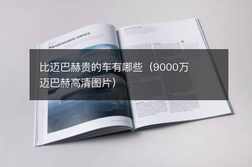 比迈巴赫贵的车有哪些（9000万迈巴赫高清图片）